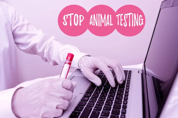 Текст для написания слов Stop Animal Testing. Бизнес-концепция для прекращения экспериментов на животных или исследований Добыча образца крови с использованием новейших технологий, готовых к исследованию . — стоковое фото