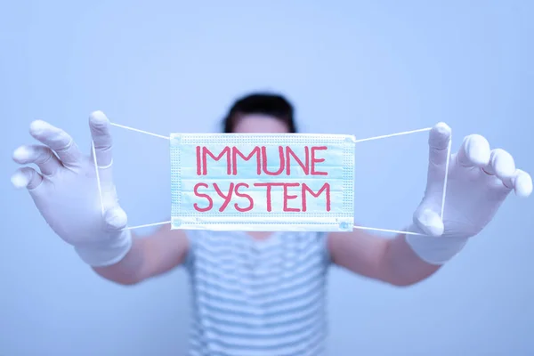 Text sign showing Immune System. Conceptual photo Complex network work together to defend against germs Promoting health awareness with set of medical precautionary equipment. — Stock Photo, Image