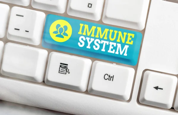 Text sign showing Immune System. Conceptual photo Complex network work together to defend against germs White pc keyboard with empty note paper above white key copy space.