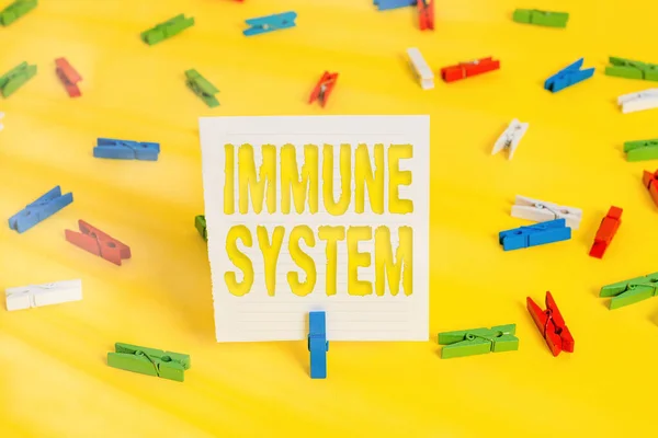 Conceptual hand writing showing Immune System. Business photo showcasing Complex network work together to defend against germs Colored clothespin papers empty reminder yellow floor office. — Stock Photo, Image