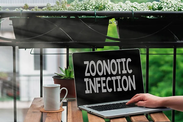 Handwriting text writing Zoonotic Infection. Concept meaning communicable disease transmitted by a non viral agent Personal workplace overview with laptop device used for individual interest.