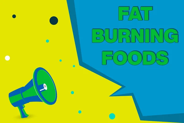 Texto de escritura de palabras Fat Burning Foods. Concepto de negocio para producir pérdida de grasa estimulando el metabolismo para reducir el apetito Megáfono Altavoz y forma geométrica en blanco Half Speech Bubble . — Foto de Stock