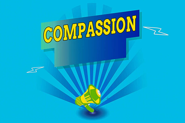 Writing note showing Compassion. Business photo showcasing empathy and concern for the pain or misfortune of others Megaphone Lightning Burst and Rectangular form with shadow.