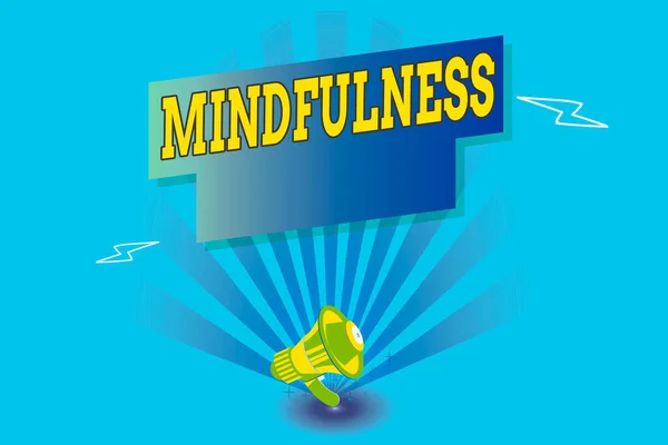 Writing note showing Mindfulness. Business photo showcasing state of mind attained by concentrating one s is attention Megaphone Lightning Burst and Rectangular form with shadow. — Stock Photo, Image