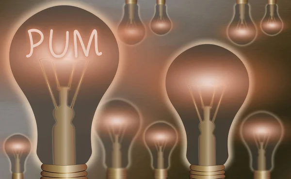 Konceptuell handstil som visar Pum. Affärsfoto visa upp oönskade förändringar som kan utföras av legitima program Realistiska färgade vintage glödlampor, idéskylt lösning. — Stockfoto