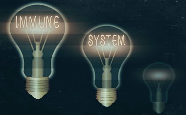 Kelime yazma immün sistemi. Karmaşık Ağ 'ın iş konsepti, mikroplara karşı savunmak için birlikte çalışır. Renkli, antika ampuller, fikir işareti çözüm konsepti..