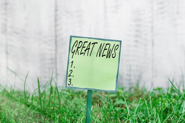 Escritura a mano conceptual que muestra grandes noticias. Foto de negocios mostrando la reacción sorprendida de aprender buenas noticias o evento afortunado Papel liso adjunto a palo y colocado en la tierra herbosa . — Foto de Stock