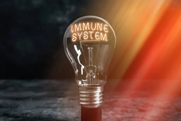 Handwriting text writing Immune System. Concept meaning Complex network work together to defend against germs Realistic colored vintage light bulbs, idea sign solution thinking concept. — Stock Photo, Image