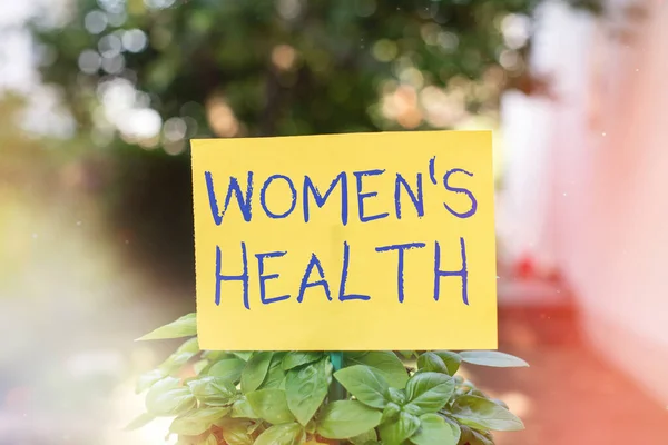 Handwriting text writing Womens Health. Concept meaning treatment and diagnosis of diseases related to health Plain empty paper attached to a stick and placed in the green leafy plants.