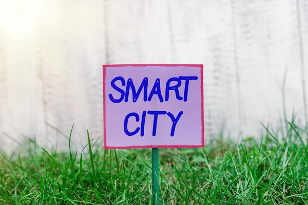 Znak tekstowy pokazujący Smart City. Fotografia koncepcyjna obszar miejski, który wykorzystuje technologie komunikacyjne do zbierania danych Zwykły pusty papier przymocowany do patyka i umieszczony w zielonej trawiastej ziemi. — Zdjęcie stockowe