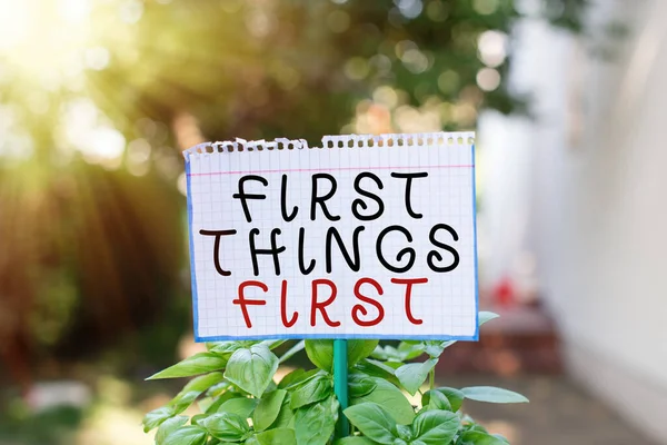 Ordskrivning text Första saker först. Affärsidé för företag, teknik, internet, ange dina prioriteringar och viktigaste Plain tomt papper fäst vid en pinne och placeras i gröna blad — Stockfoto