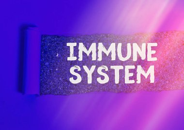 Kelime yazma immün sistemi. Vücudu yabancı maddelerden koruyan bir vücut sistemi için iş konsepti. Klasik bir masa arkaplanının üzerine yerleştirilmiş parçalanmış karton kaplama..