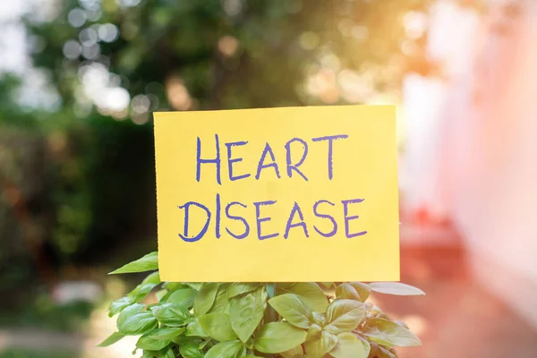 Handwriting text writing Heart Disease. Concept meaning A type of disease that affects the heart or blood vessels Plain empty paper attached to a stick and placed in the green leafy plants. — Stock Photo, Image