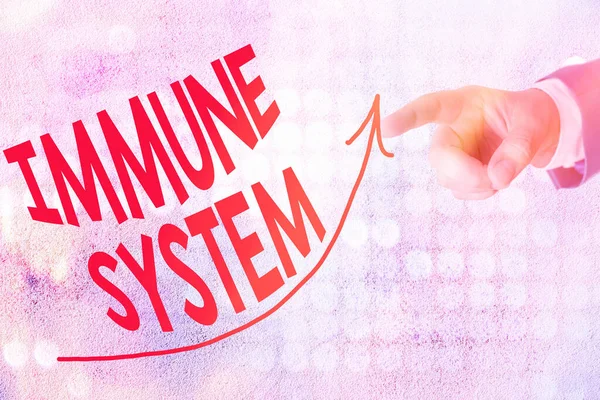 Word writing text Immune System. Business concept for Complex network work together to defend against germs digital arrowhead curve rising upward denoting growth development concept. — Stock Photo, Image