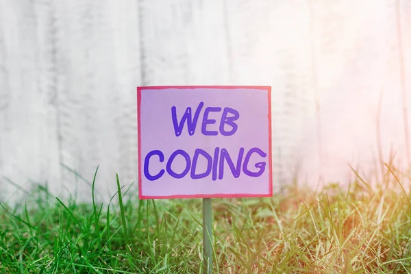 Text sign showing Web Coding. Conceptual photo a system of symbols and rules used to represent instructions Plain empty paper attached to a stick and placed in the green grassy land.