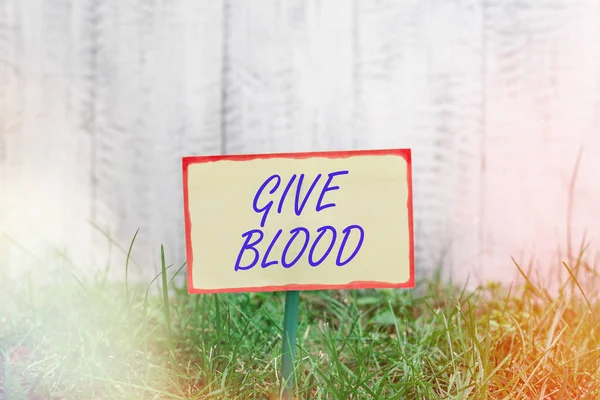 Piszę notatkę z "Give Blood". Biznesowe zdjęcie przedstawiające osobę dobrowolnie ma krew pobraną i użytą do transfuzji Zwykły papier przymocowany do kija i umieszczony w trawiastej ziemi. — Zdjęcie stockowe