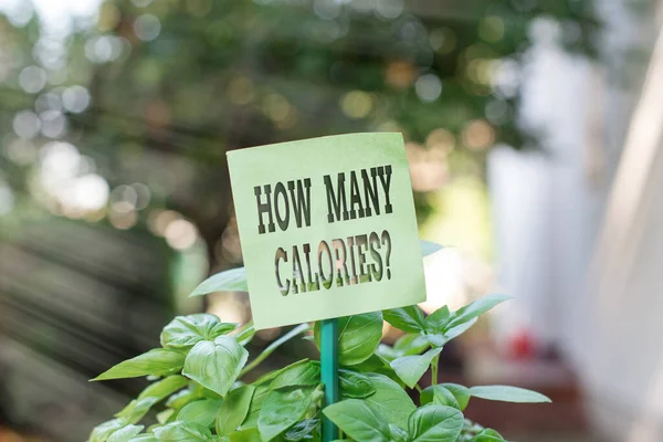 Handschrift tekst schrijven Hoeveel calorieën vraag. Concept betekent vragen hoeveel energie ons lichaam eruit kan halen Plain leeg papier bevestigd aan een stok en geplaatst in de groene bladplanten. — Stockfoto