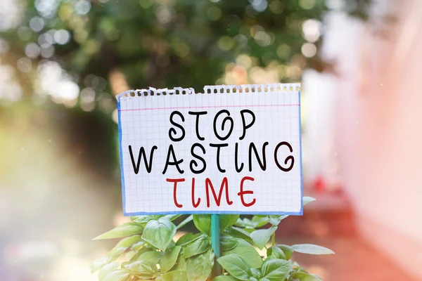 Woord schrijven tekst Stop verspilling van tijd. Business concept voor het organiseren van het beheer schema laat het doen Start nu Plain leeg papier bevestigd aan een stok en geplaatst in de groene bladplanten. — Stockfoto