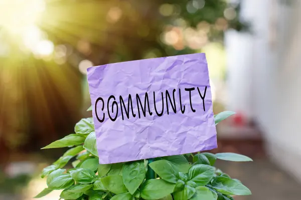 Signo de texto que muestra Comunidad. Grupo de fotos conceptuales de mostrar la vida en un lugar que tiene una característica en común Papel vacío liso pegado a un palo y colocado en las plantas de hoja verde . —  Fotos de Stock