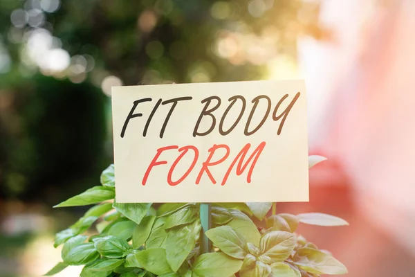 手書きテキスト書き込み｜Fit Body Form。概念上の意味は、形と輪郭が完全に一致する体を指す緑の葉の植物に付着し、配置された空の紙. — ストック写真