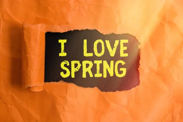 Signo de texto que muestra I Love Spring. Foto conceptual que dice por qué tener un fuerte afecto a esta temporada Rolled desgarrado cartón desgarrado colocado sobre un fondo de mesa clásico de madera . — Foto de Stock