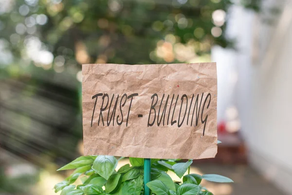 Word writing text Trust building. Business concept for developing trust in so they can function effectively Plain empty paper attached to a stick and placed in the green leafy plants.