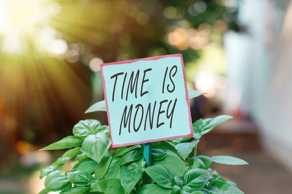Handschrifttekst Time Is Money. Concept betekent om dingen zo snel mogelijk te doen en geen tijd te verspillen Plain leeg papier bevestigd aan een stok en geplaatst in de groene bladplanten. — Stockfoto