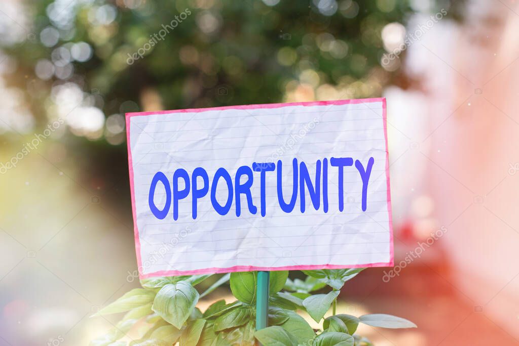 Conceptual hand writing showing Opportunity. Business photo showcasing an opportunity allowing you to do something you want to do Plain paper attached to stick and placed in the grassy land.