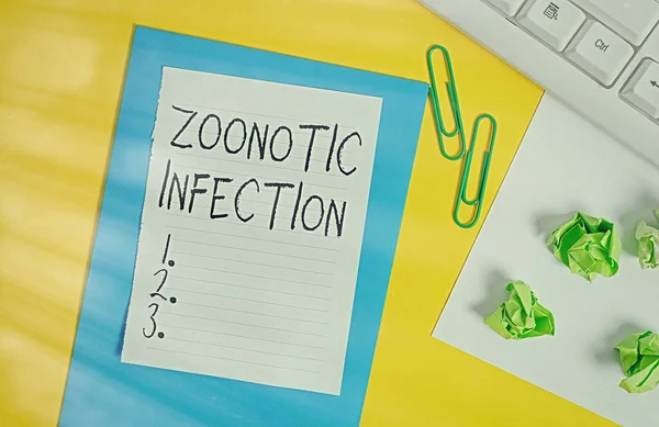 Word writing text Zoonotic Infection. Business concept for communicable disease transmitted by a non viral agent Flat lay above empty copy space white paper with paper clips on the table.