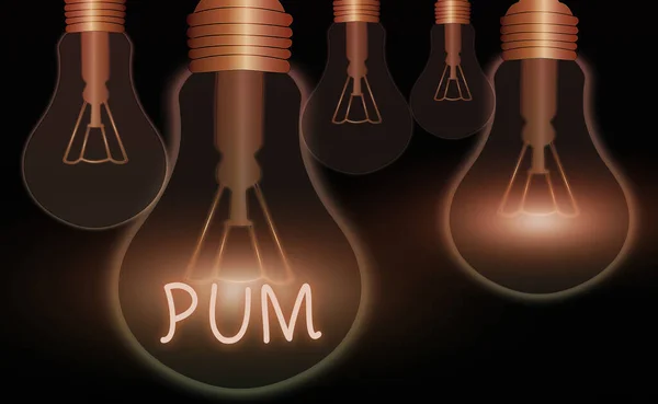 手書きのテキスト書き込み｜Pum。正当なアプリケーションで実行できる不要な変更を意味する概念現実的な色のヴィンテージ電球、アイデアサインソリューション思考コンセプト. — ストック写真