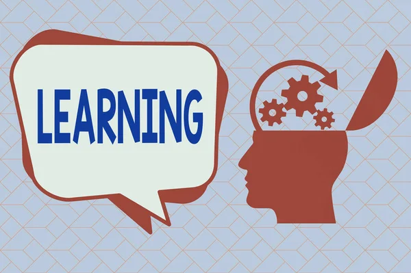 Textskylt som visar Learning. Konceptuell fotomedvetenhet eller färdigheter som lärt sig genom utbildning forskning eller undervisning Hu analys Head Silhouette Topside Open with Gears and Blank Halftone Bubble. — Stockfoto