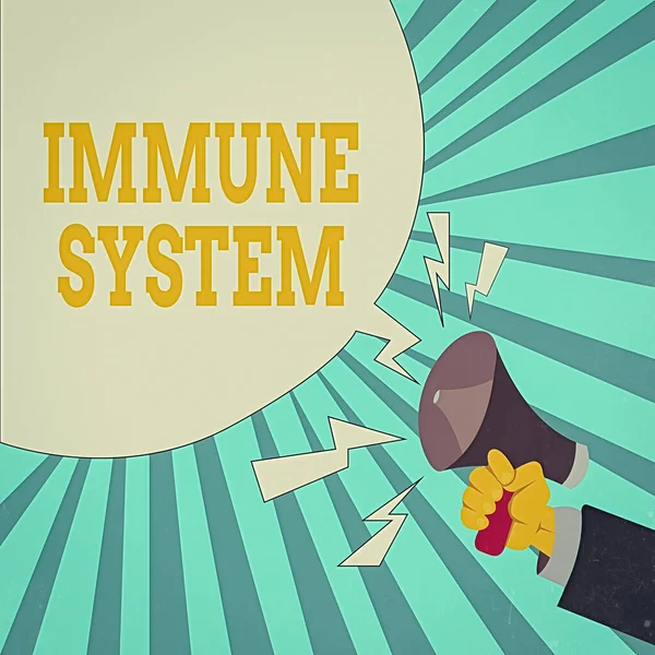 Writing note showing Immune System. Business photo showcasing a bodily system that protects the body from foreign substances Male Hu analysis Hand Holding Megaphone Blank Speech Bubble. — Stock Photo, Image