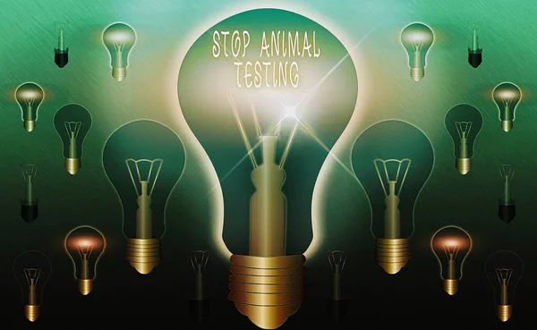 Text sign showing Stop Animal Testing. Conceptual photo put an end on animal experimentation or research Realistic colored vintage light bulbs, idea sign solution thinking concept.