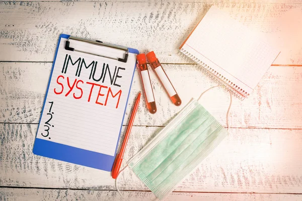 Conceptual hand writing showing Immune System. Business photo showcasing a bodily system that protects the body from foreign substances Blood sample vial medical accessories ready for examination. — Stock Photo, Image