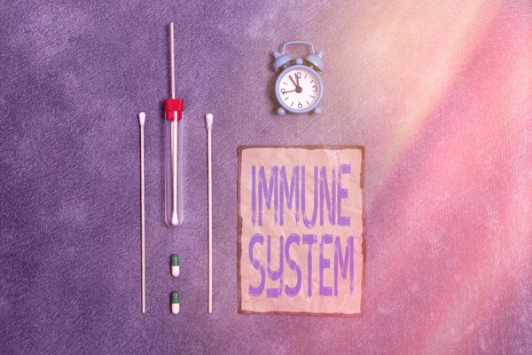 Conceptual hand writing showing Immune System. Business photo text a bodily system that protects the body from foreign substances Set of medical equipment for health condition assessment.