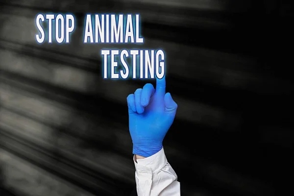 Текст для написания слов Stop Animal Testing. Бизнес-концепция для положить конец экспериментам или исследованиям на животных Отображение пустой бумажные аксессуары Смартфон с медицинскими перчатками. — стоковое фото