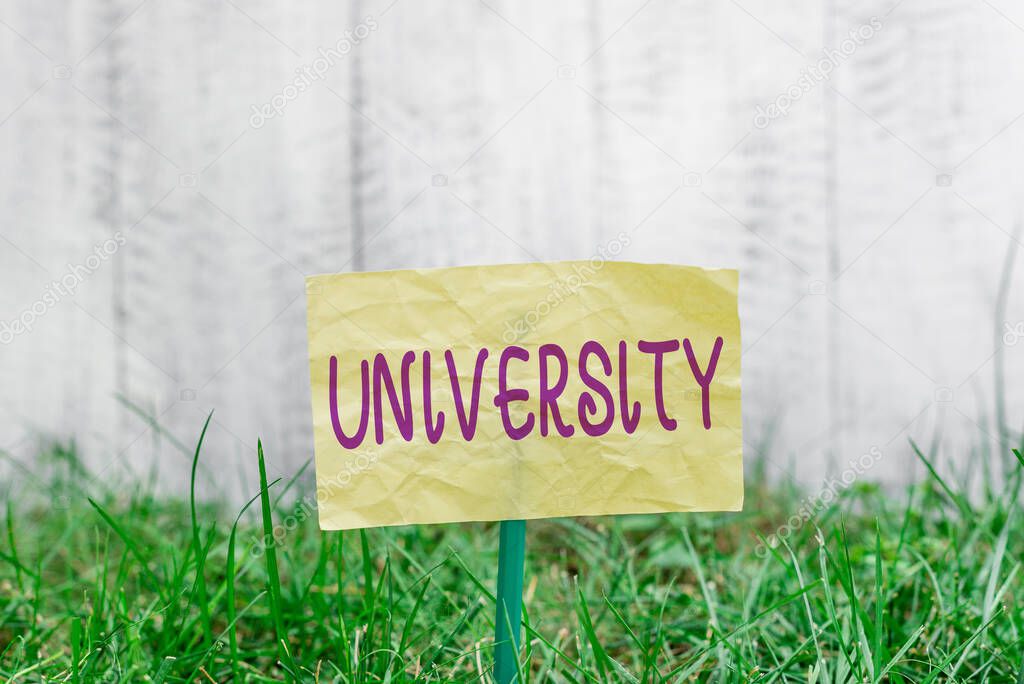 Handwriting text writing University. Concept meaning institution of higher learning providing facilities for teaching Plain empty paper attached to a stick and placed in the green grassy land.