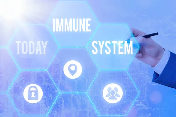 Écriture manuscrite de texte Système immunitaire. Concept signifiant un système corporel qui protège le corps contre les substances étrangères Grilles et différentes configurations des icônes dernier concept de technologie numérique. — Photo