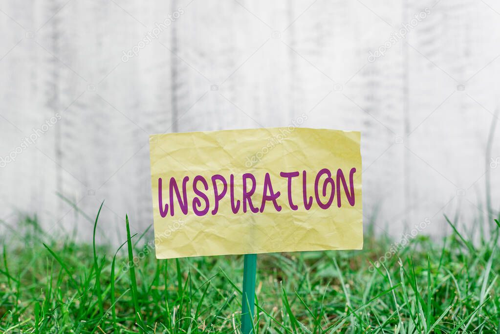 Handwriting text writing Inspiration. Concept meaning the process of being mentally stimulated to do or feel something Plain empty paper attached to a stick and placed in the green grassy land.