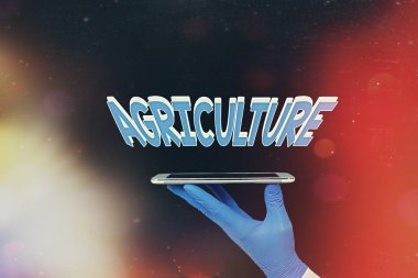 Tarımı gösteren bir not yazıyorum. İş fotoğrafçılığı pratiği toprağı işliyor, ekin yetiştiriyor, çiftlik hayvanlarını büyütüyor ve tıbbi eldivenli çıkartma aksesuarları sergiliyor..