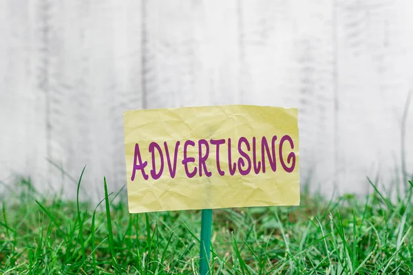 Handwriting text writing Advertising. Concept meaning action of calling attention of the public by paid announcements Plain empty paper attached to a stick and placed in the green grassy land. — Stock Photo, Image