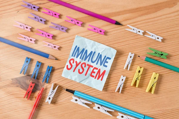 Word writing text Immune System. Business concept for a bodily system that protects the body from foreign substances Colored clothespin papers empty reminder wooden floor background office.