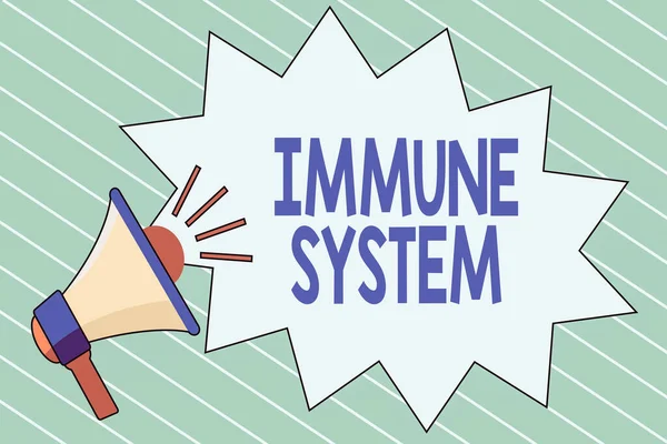 Writing note showing Immune System. Business photo showcasing Complex network work together to defend against germs Megaphone with Volume Sound Effect icon and Blank Jagged Scream Bubble. — Stock Photo, Image