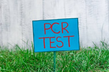 PCR Testi 'ni gösteren kavramsal el yazısı. İş fotoğraflarında viral genomun, yapışıp çimenli topraklara yerleştirilmiş DNA sade kağıdının kısa kesiti içindeki niteliksel tespiti gösteriliyor..