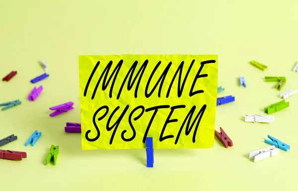 Text sign showing Immune System. Conceptual photo a bodily system that protects the body from foreign substances Colored crumpled rectangle shaped reminder paper light blue background.