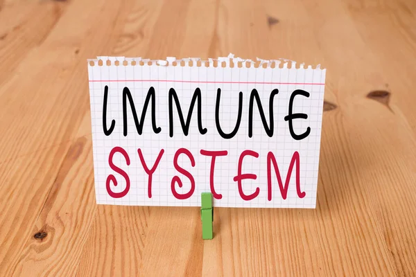 Word writing text Immune System. Business concept for a bodily system that protects the body from foreign substances Empty reminder wooden floor background green clothespin groove slot office. — Stock Photo, Image