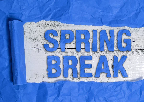 Text sign showing Spring Break. Conceptual photo Vacation period at school and universities during spring Rolled ripped torn cardboard placed above a wooden classic table backdrop. — Stock Photo, Image