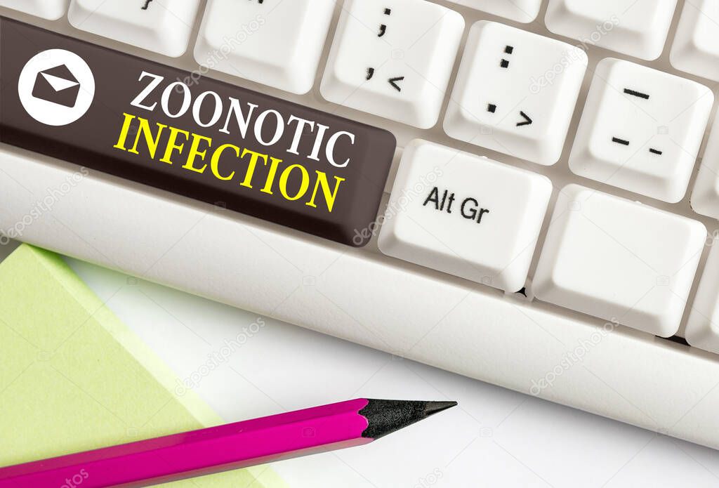 Conceptual hand writing showing Zoonotic Infection. Business photo text communicable disease transmitted by a non viral agent Colored keyboard key with accessories arranged on empty copy space.