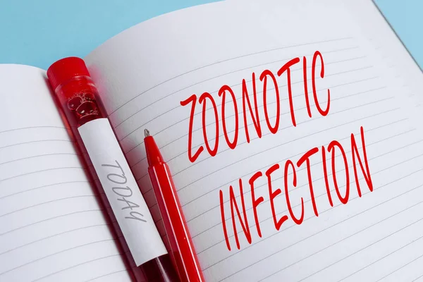 Handwriting text writing Zoonotic Infection. Concept meaning communicable disease transmitted by a non viral agent Extracted blood sample vial with medical accessories ready for examination.
