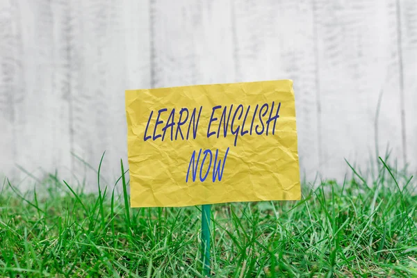 Word writing text Learn English Now. Business concept for gain or acquire knowledge and skill of English language Plain empty paper attached to a stick and placed in the green grassy land.